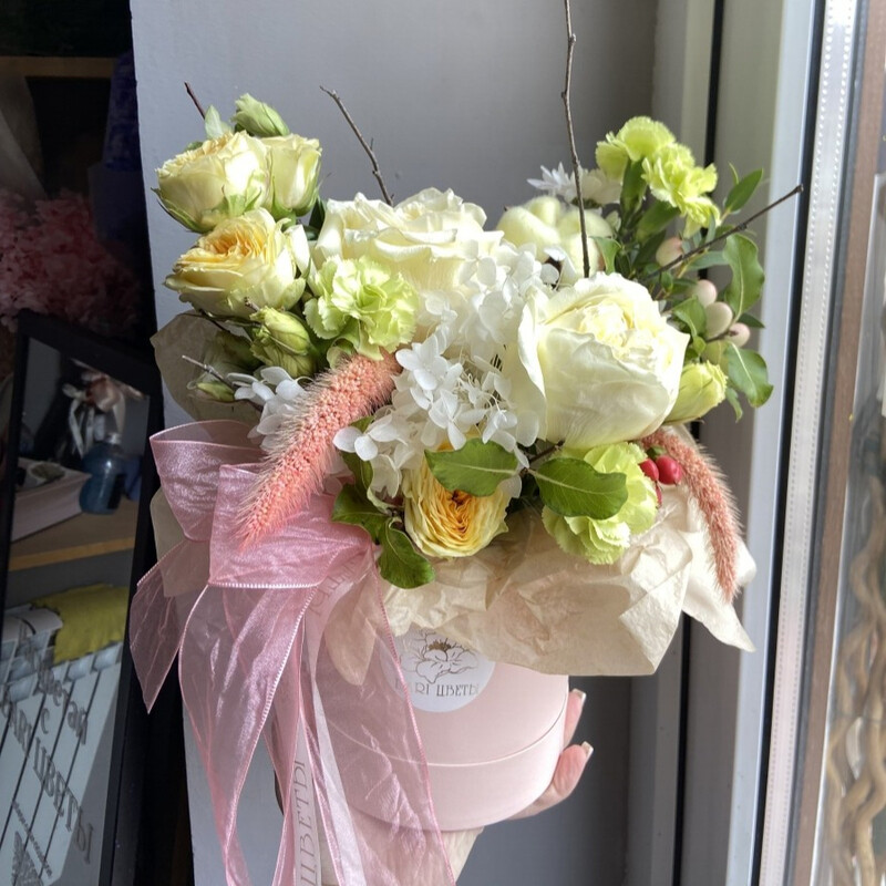 Persikovij kompliment, standart