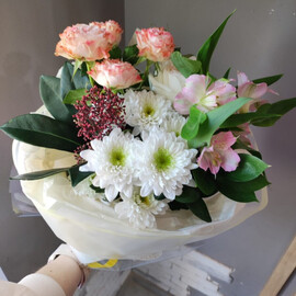 Весенняя свежесть