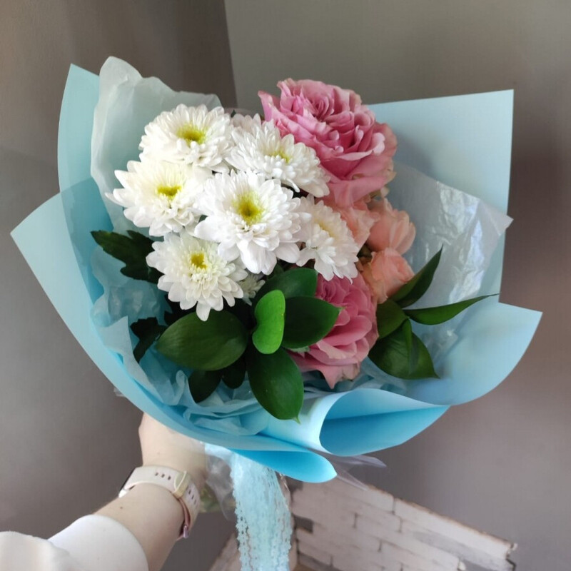 Голубая лагуна, стандартный