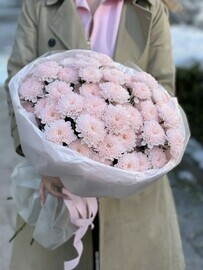 Bouquet of 7 chrysanthemums