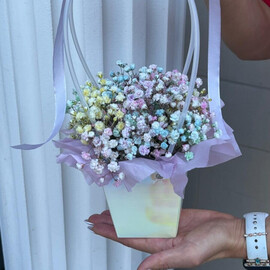A bouquet of gypsophila flowers in a handbag