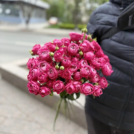 Букет из 7 кустовых роз