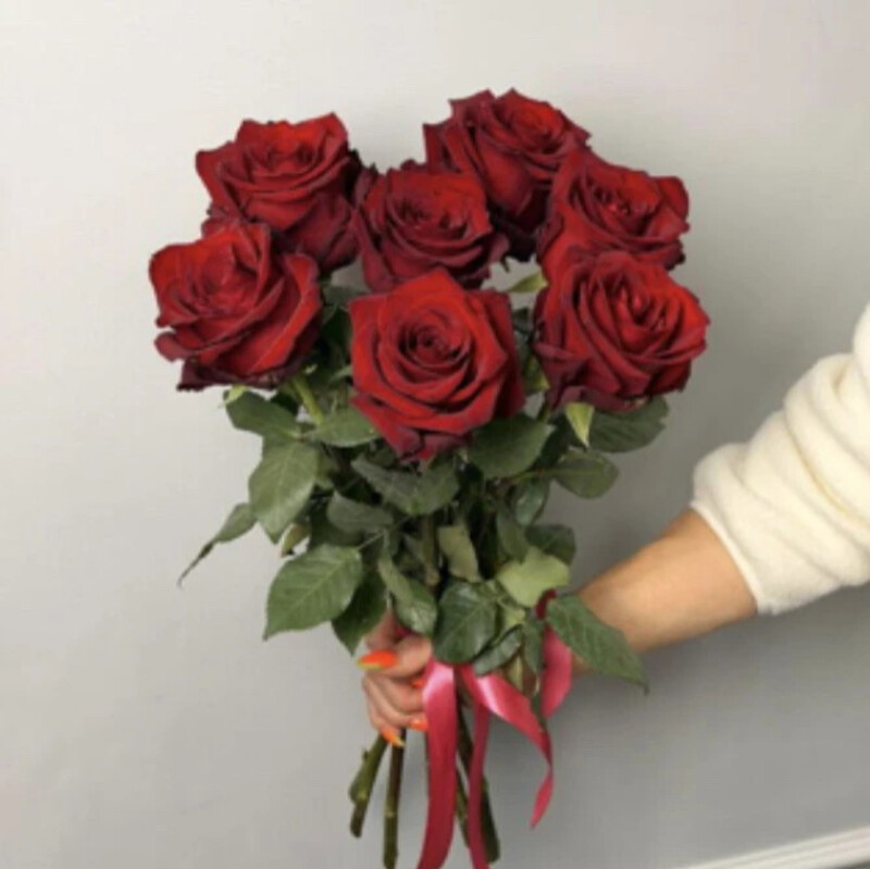 Bouquet of 7 red roses, buket iz 7 krasnih roz