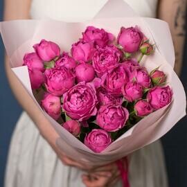 Pionovidnie rozi Misti babls 7 vetok