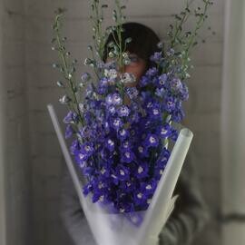 Del_finium sinij Solo-5