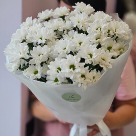 Букет из кустовых хризантем (ромашки)