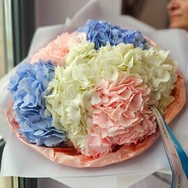 Букет "Гортензии Джамбо микс"