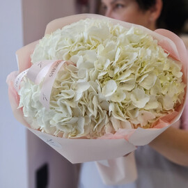 Букет "Белые гортензии джамбо"