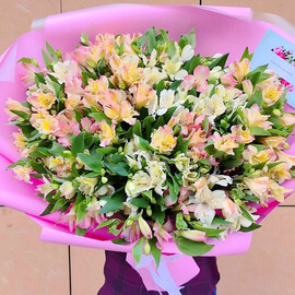 Buket prekrasnoj al_stromerii