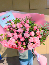 11 kustovih pionovidnih roz