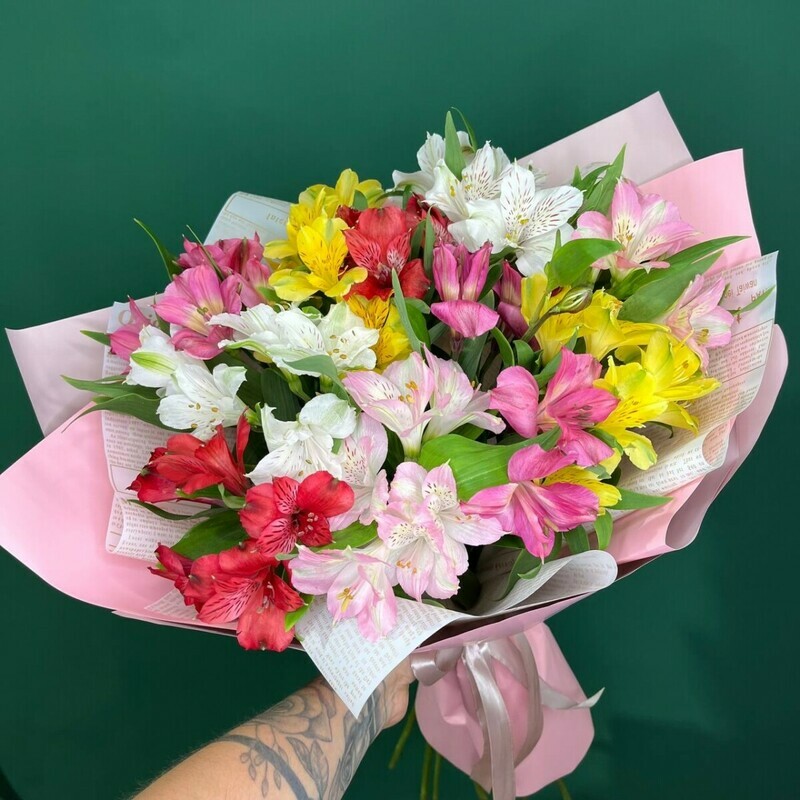 YArkie al_stromerii, yarkie al_stromerii