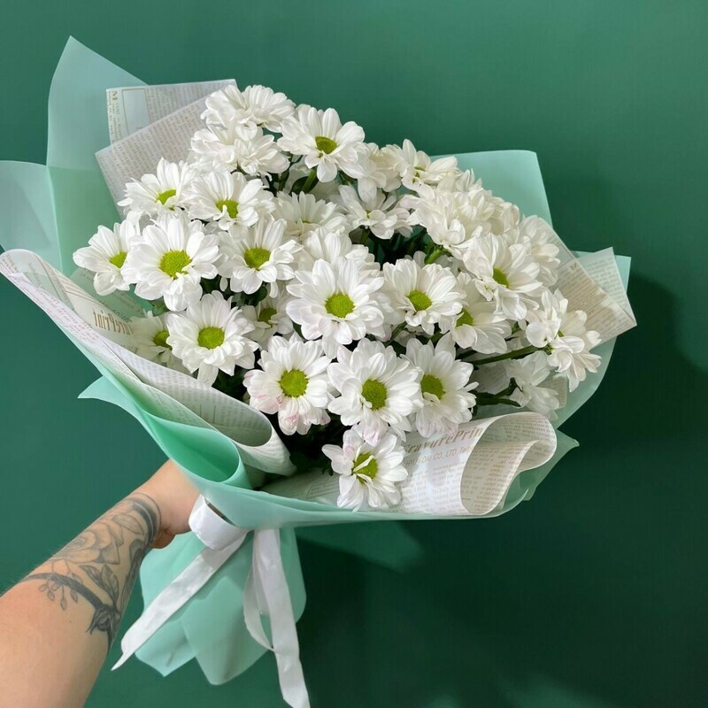 Romashkovie hrizantemi, romashkovie hrizantemi