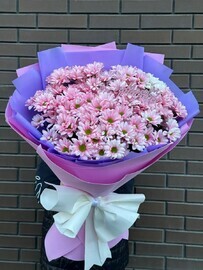 Букет из 15 розовых хризантем 