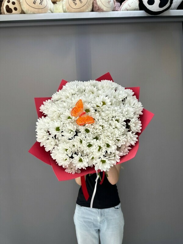 Bouquet of daisies , standart