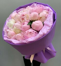 Bouquet of 15 peonies 