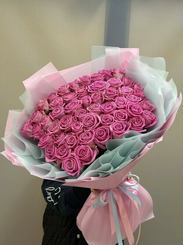 51 roza rozovaya, 51 rozovaya roza