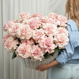 Корзина из 25 розовых французских роз