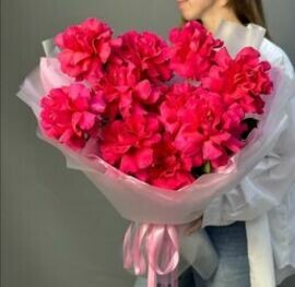 9 malinovih frantcuzskih roz