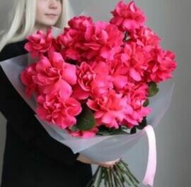 15 malinovih frantcuzskih roz