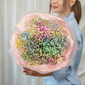 9 vetok raduzhnoj gipsofili