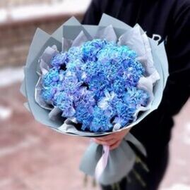 Kosmicheskie diantusi 25 sht