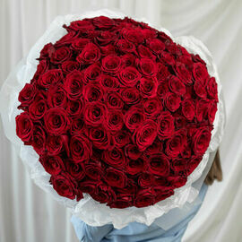 Rozi krasnie 151 sht (60sm)