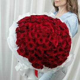 Rozi krasnie 101 sht (60sm)