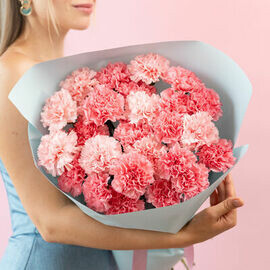 Rozovie diantusi - 25 shtuk