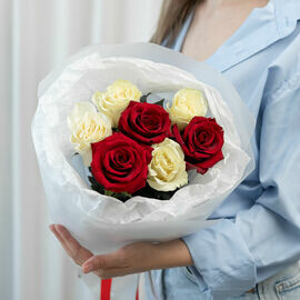 Розы красно-белые Эквадор 7 шт (60см)
