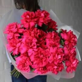 19 malinovih frantcuzskih roz