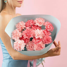 Rozovie diantusi - 15 shtuk