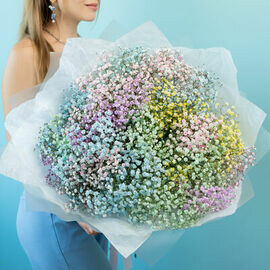 25 vetok raduzhnoj gipsofili