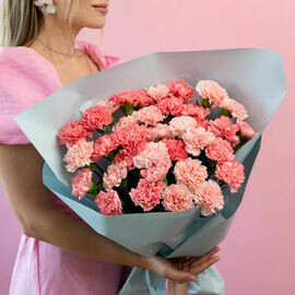 Rozovie diantusi - 35 shtuk