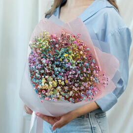 5 vetok raduzhnoj gipsofili