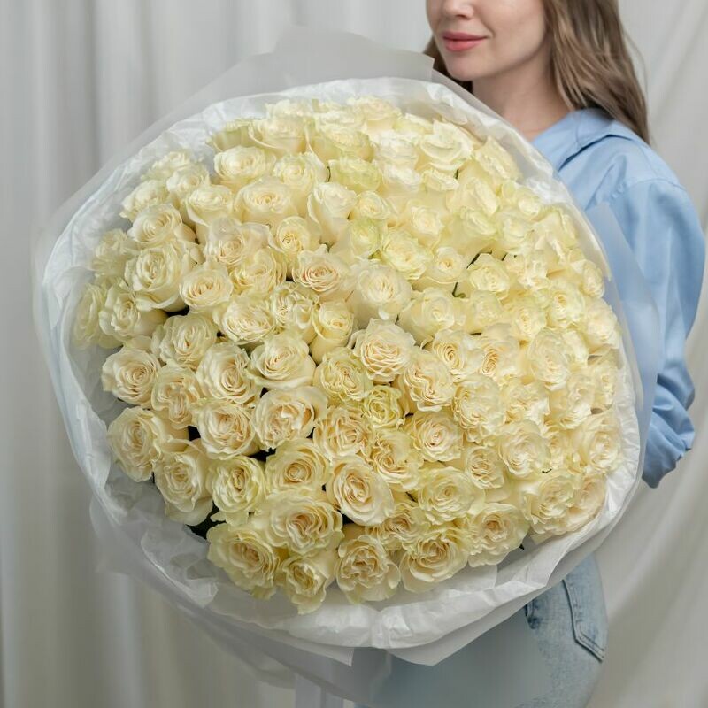 Rozi belie 101 sht (60 sm), rozi belie 101 sht (60 sm)