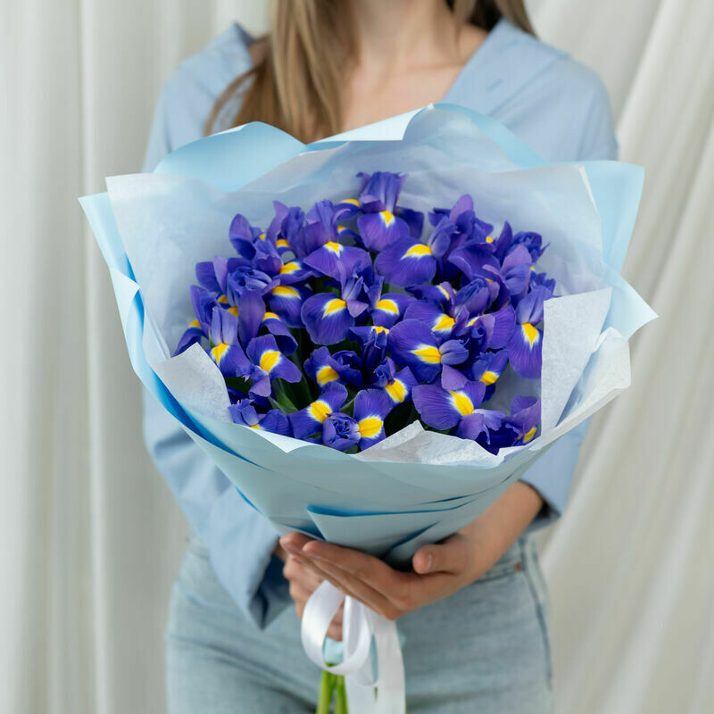 15 sinih irisov, 15 sinih irisov