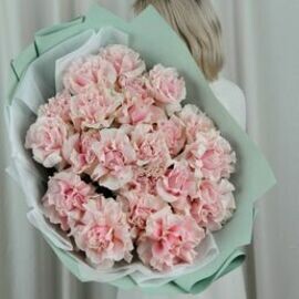 роза французская Пинк Мондиаль 21шт