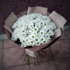 Ромашковое облако