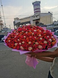 Rozi