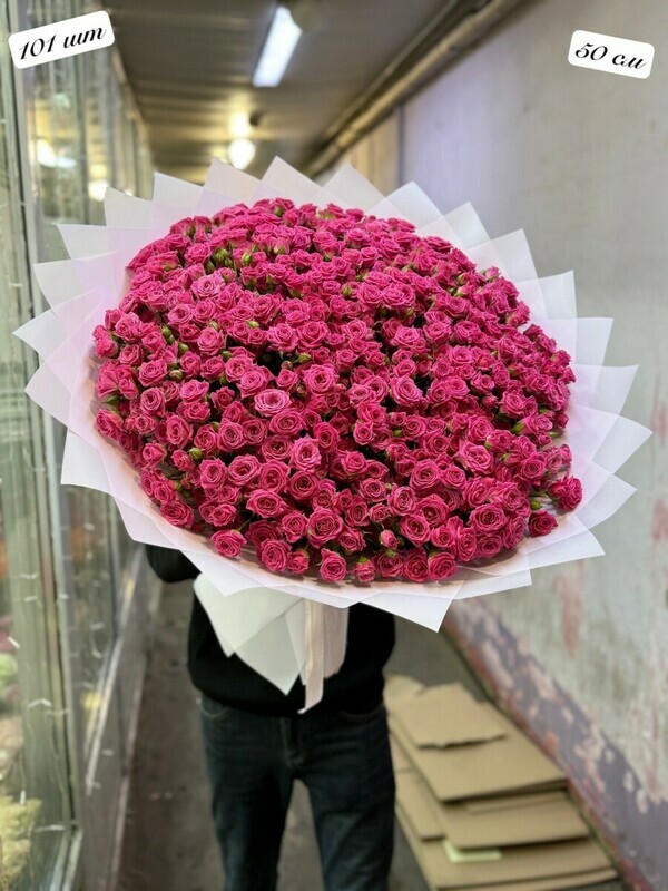 роза кустовая, кустовая роза