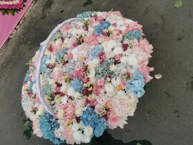 Пионы 