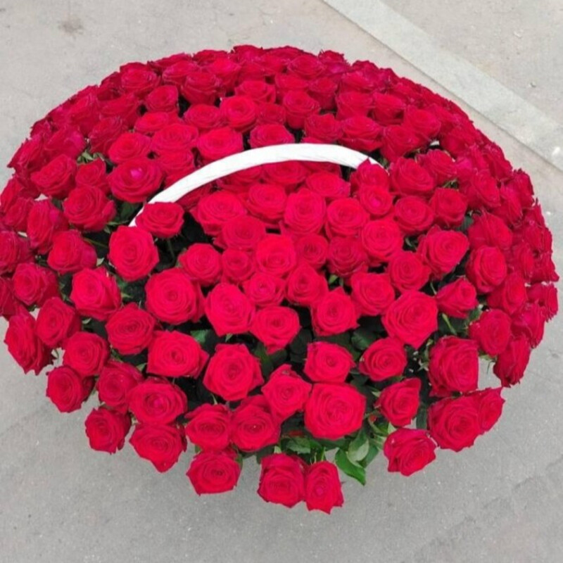 Roses 101 in the basket , standart