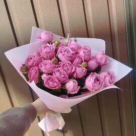 Pionovidnaya nezhnost_