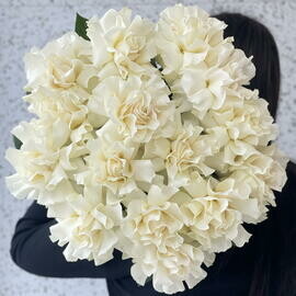 Монобукет 15 французских белых роз