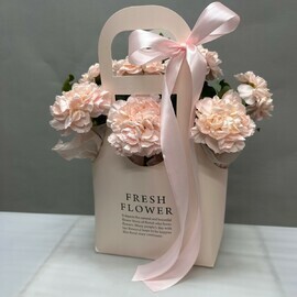 Сумочка с диантусами