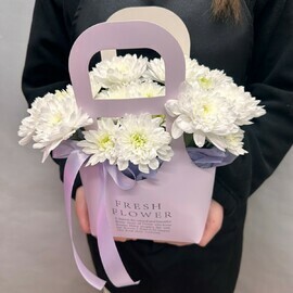 Sumochka s hrizantemoj