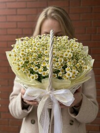Композиция в корзине из кустовой ромашки/танацетума