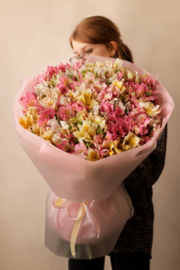 Seasonal mix of alstroemeria 31 pcs.