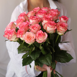 21 rose Jumilia 50 cm