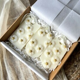 Ароматическое саше для шкафа «масло ши и цветы монои»